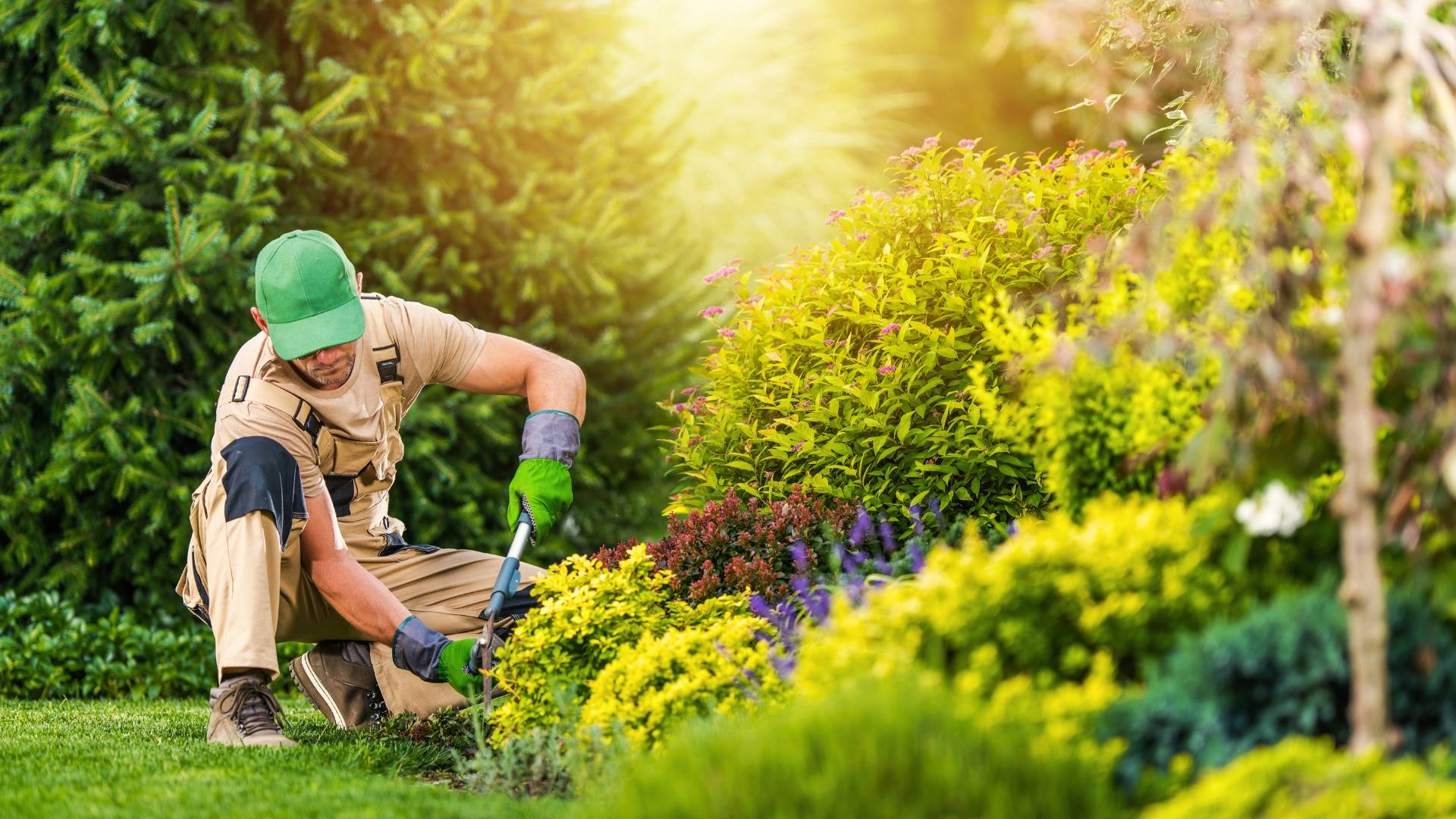 Intretinere peisagistica Prahova, Ploiesti si Bucuresti | Spatii verzi, gazon si gradini | Servicii profesionale de intretinere peisagistica in Prahova si Bucuresti. Tundere gazon, toaletare arbori, sisteme de irigatii si ingrijire completa a spatiilor verzi.intretinere peisagistica, intretinere spatii verzi, amenajari peisagistice, servicii peisagistica, tundere gazon, intretinere gazon, toaletare arbori, toaletare arbusti, sisteme de irigatii, irigatii gradina, ingrijire gradini, spatii verzi Prahova, peisagistica Prahova, intretinere gradini Prahova, amenajare gradini Prahova, servicii gradinarit, intretinere parcuri, intretinere terenuri verzi, peisagistica Bucuresti, intretinere spatii verzi Bucuresti, ingrijire plante ornamentale, fertilizare gazon, curatare terenuri, servicii horticole, mentenanta spatii verzi, gazon profesional, gradini rezidentiale, gradini comerciale, amenajare si intretinere gradini.